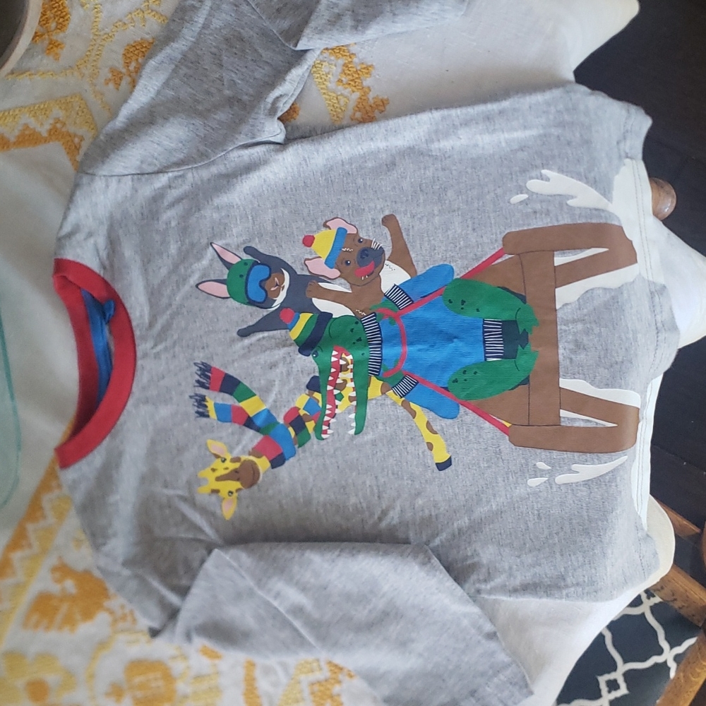 Boden 3-4 Y animals snow shirt